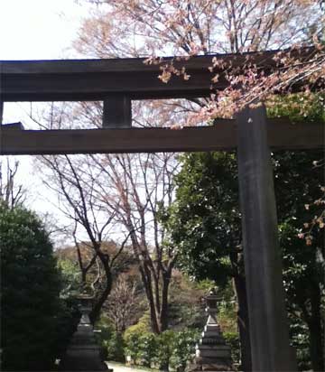 東郷神社