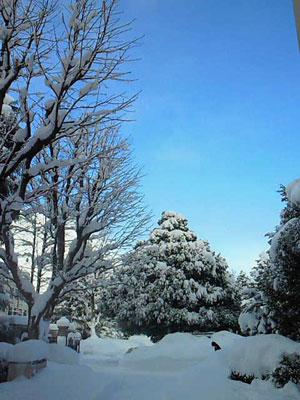 金沢の雪その2